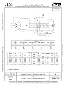 AIA NAS1301