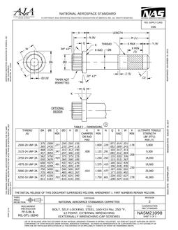 AIA NASM21098