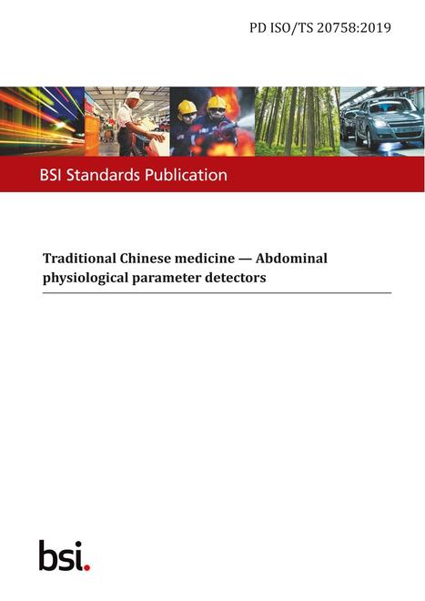 BS PD ISO/TS 20758:2019