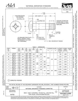 AIA NASM21096