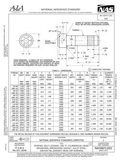 AIA NASM21262
