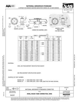 AIA NAS595