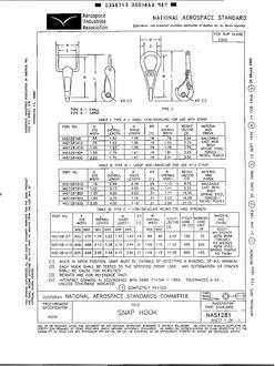 AIA NAS1281
