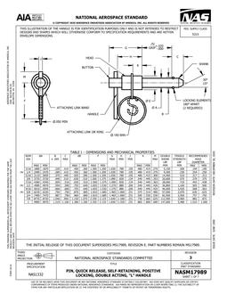 AIA NASM17989