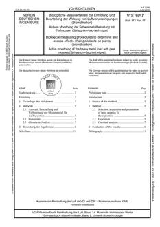 VDI VDI 3957 BLATT 17