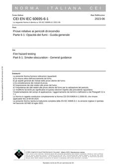 CEI EN IEC 60695-6-1