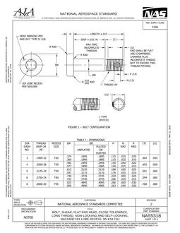 AIA NAS5318