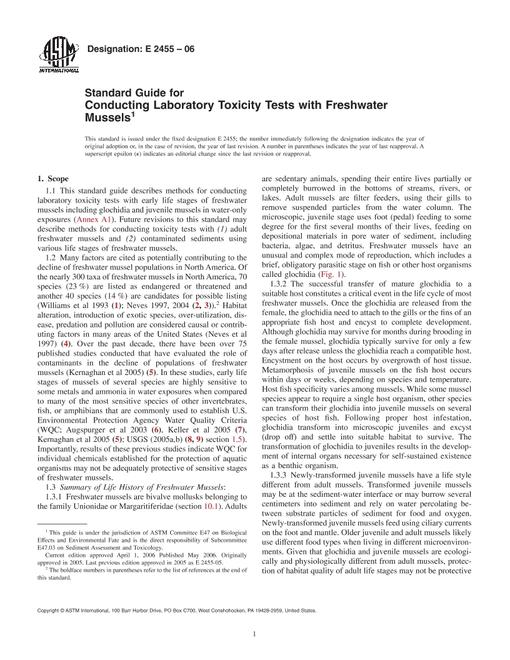 ASTM E2455-06