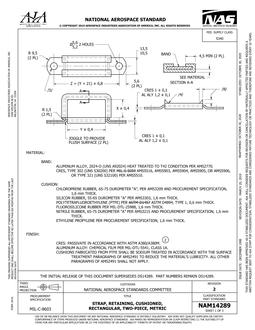 AIA NAM14289