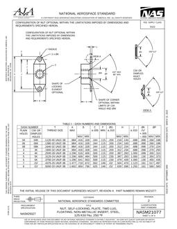 AIA NASM21077