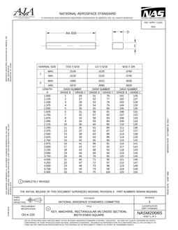 AIA NASM20065
