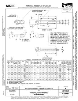 AIA NAS287