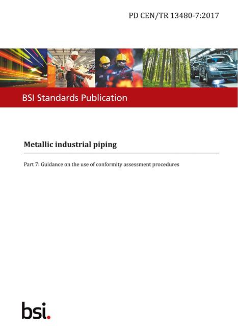 BS PD CEN/TR 13480-7:2017