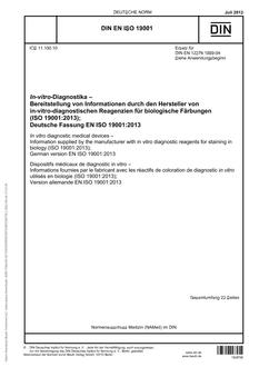 DIN EN ISO 19001