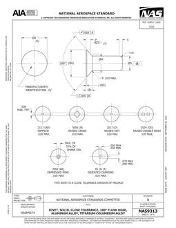 AIA NAS9313