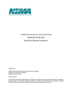NEMA BS 31002-2022