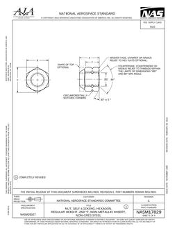 AIA NASM17829