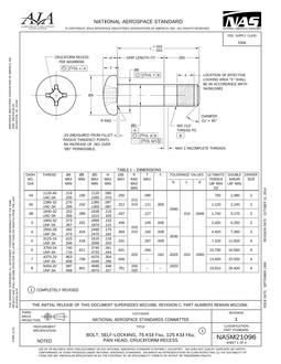 AIA NASM21096