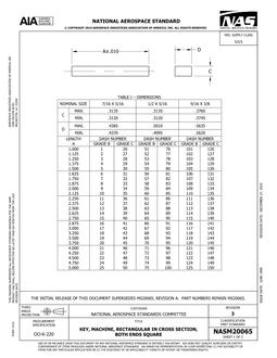AIA NASM20065