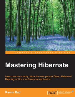 Mastering Hibernate