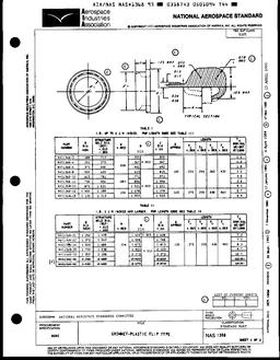 AIA NAS1368