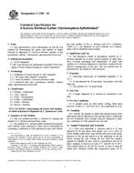 ASTM E2199-02