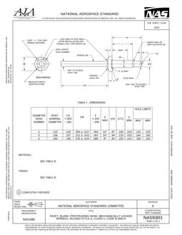 AIA NAS9301