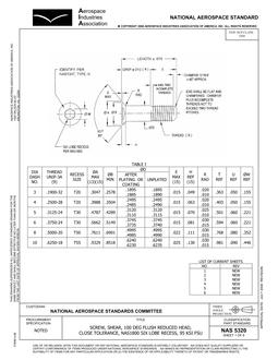 AIA NAS5320