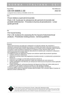 CEI EN 60695-1-30