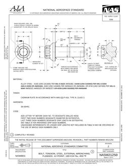 AIA NASM21250