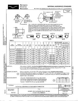 AIA NAS1189
