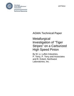 AGMA 13FTM14