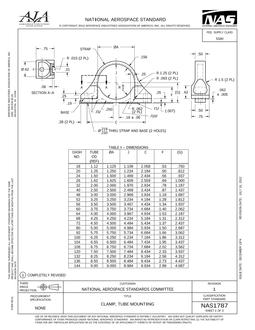AIA NAS1787
