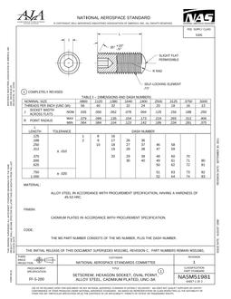 AIA NASM51981