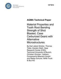 AGMA 19FTM16