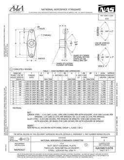 AIA NASM21078