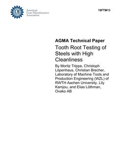AGMA 19FTM13