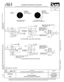 AIA NAS539