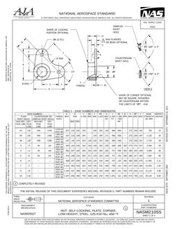 AIA NASM21055