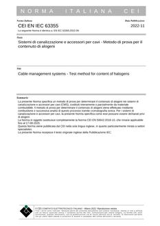 CEI EN IEC 63355