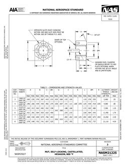 AIA NASM21225