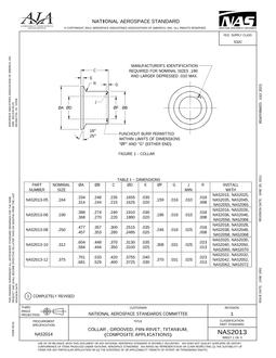AIA NAS2013