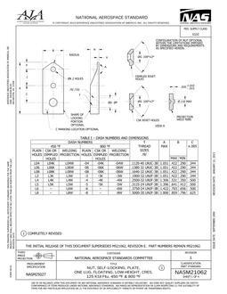 AIA NASM21062