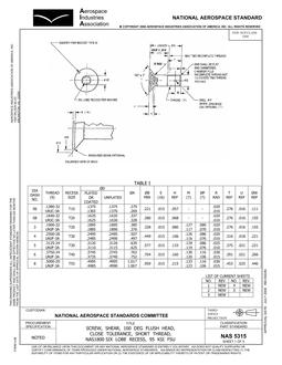AIA NAS5315