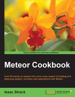 Meteor Cookbook