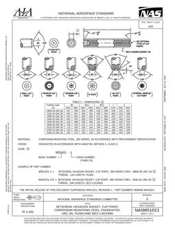 AIA NASM51021
