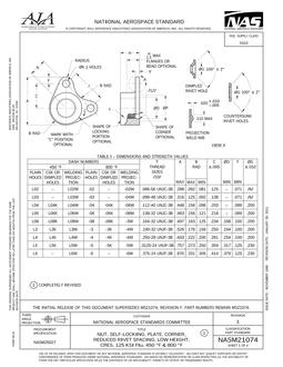 AIA NASM21074