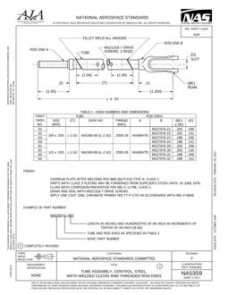 AIA NAS359