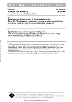 CEI EN IEC 60317-93
