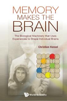 MEMORY MAKES THE BRAIN: THE BIOLOGICAL MACHINERY THAT USES EXPERIENCES TO SHAPE INDIVIDUAL BRAINS